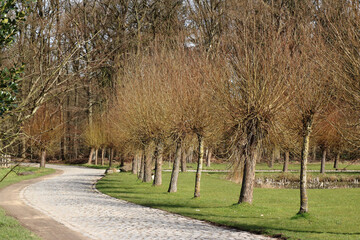 lane in Bokrijk, Belgium