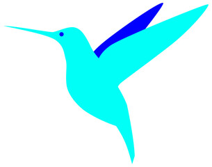 An electric blue hummingbird with a royal blue wing.