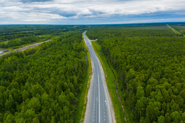 Straight road through green pine forest. spring landscape. aerial view.
