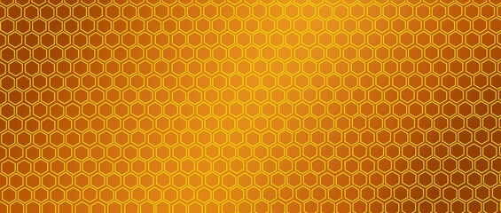 Colorful hexagons illustration. Color art. Warm color mix. Tech matrix. Web site header graphics. Frame.