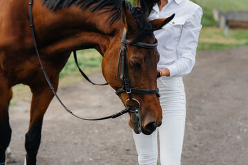 Obraz premium A young pretty girl rider poses near a thoroughbred stallion on a ranch. Horse riding, horse racing