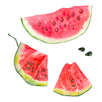 Bright watercolor watermelon. Slices and slices of red watermelon with seeds.