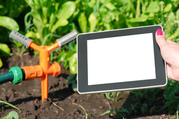 Woman is holding in hand a blank screen tablet computer on a garden sprinkler background. Smart garden concept.