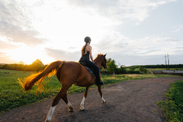A young pretty girl jockey riding a thoroughbred stallion is engaged in horse riding at sunset....