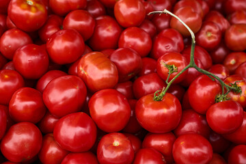 Red tomatoes in a market as a natural background.