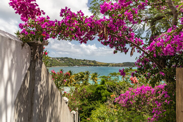 Saint Vincent and the Grenadines, bougainvillea arch and   Friendship Bay, Bequia