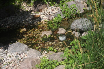 Fototapeta premium WATER POND WITH SEVERAL ROCKS