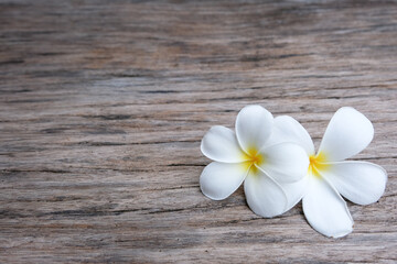 Fototapeta na wymiar frangipani flower on wood