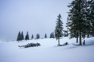 Fototapeta premium A snow covered slope a travel