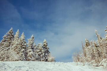 A man jumping in the air on a snow covered slope