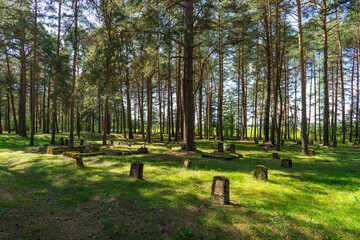Obraz na płótnie Canvas World War I German cemetery in Belarus