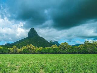 Fototapeta premium Piton de la Petite Rivière Noire in Mauritius.