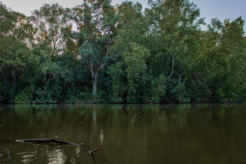 A walk in the forest.