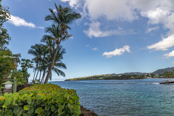 Young Island view in Saint Vincent and the Grenadines