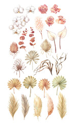 Set of boho watercolor elements with flowers and leaves on a white background.