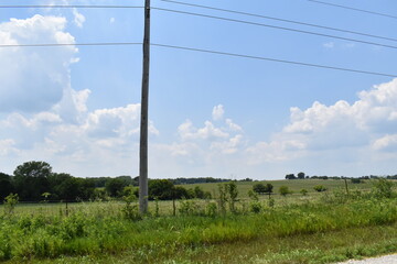 Roadside Field