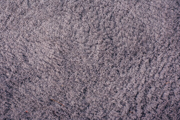 Texture of gray carpet background