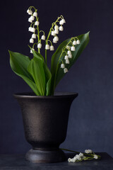 Bouquet of Lily of the valley flowers closeup  in a vase on the table