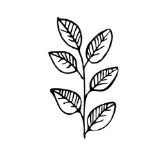Hand drawn flat vector botanical leaves line illustrations isolated on a white background.Leaves for greeting cards,invitations,patterns.