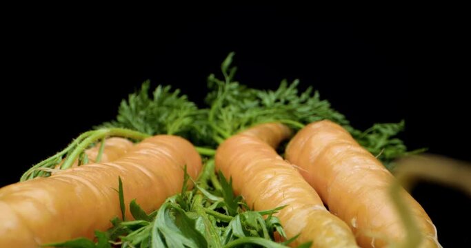 carrots close up