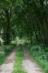 gravel alley in a rural landscape