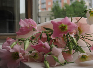 Delicate bouquet of Eustoma flowers on a white wooden windowsill, in the background green trees and houses