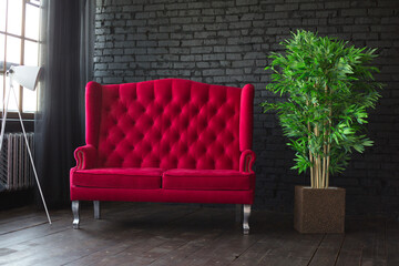Red sofa stands near the window against a black wall next to green flower in pot. Stylish interior