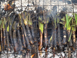 Catalan type of green onion grilled over a hot fire