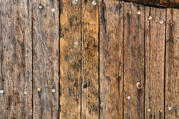 Obraz premium Wood textured