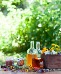 fresh and dry ingredients for herbal medicine with essential oil and glass bottles on the wood table