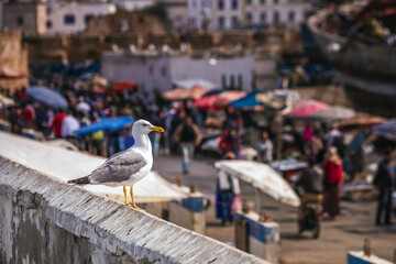 Morocco main attractions