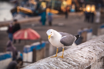 Morocco main attractions