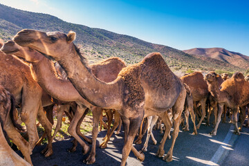 Morocco main attractions