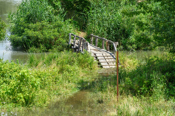 Typical landscape at swamp area of Imperial Pond (Carska bara), large natural habitat for birds and other animals from Serbia. Wooden bridge in the photo. 