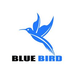 bird logo vector
