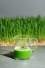Wheat grass juice and green wheatgrass plants.