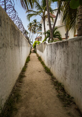 dramatic image of a long walkway to the caribbean coast in Punta Cana, Dominican republic,  with flowers and palms