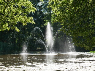 Fountain in a pond in a public park framed by trees. In bright sunlight.