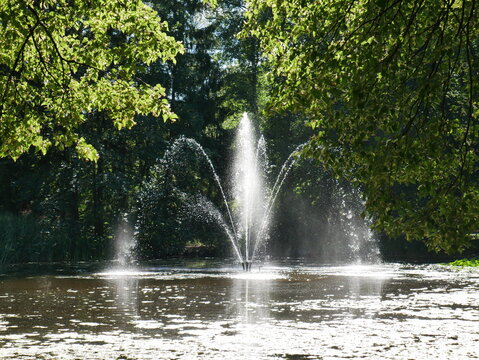 Fountain in a pond in a public park framed by trees. In bright sunlight. © KraPhoto