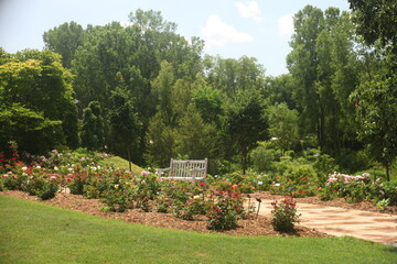 garden in the park