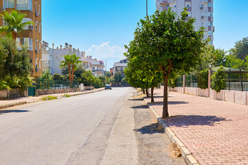 Street of the tourist city, with palm trees and beautiful trees. Urban landscape Turkey, Antalya