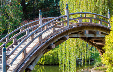 a beautiful arched wooden bridge over a small pond near weeping willows in a lush Japanese garden