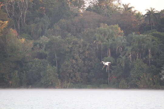 brasil paranoa lake