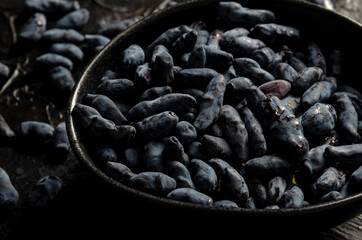 bowl of blue honeysuckle berries on a dark textured background