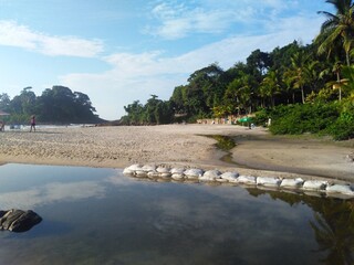 tropical beach with palm trees