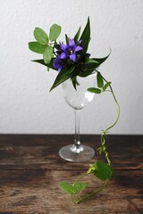 グラスりんどう