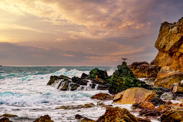 【日本海イメージ】岩礁地帯に打ち付ける日本海の荒波