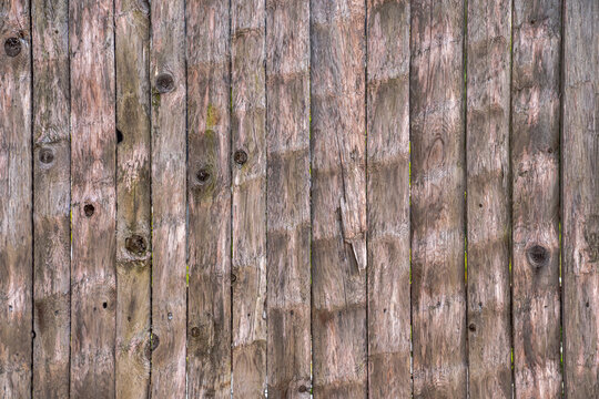 Close up texture background shot of an old grayed out weathered vertical wood fence made with rough sawn scraped planks with knots.