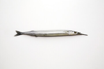 Anchovy