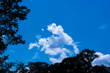 Obraz premium Beautiful and curious clouds background blue sky at Florida.